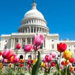 How to Engage with Lawmakers and Officials at NAHB’s Spring Leadership Meeting